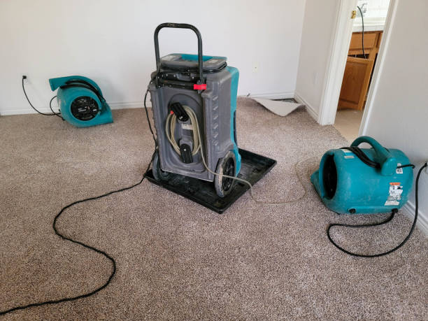 Best Water damage contractors near me  in Naples, TX