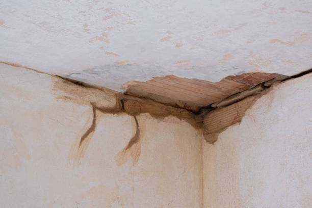 Best Basement water damage restoration  in Naples, TX