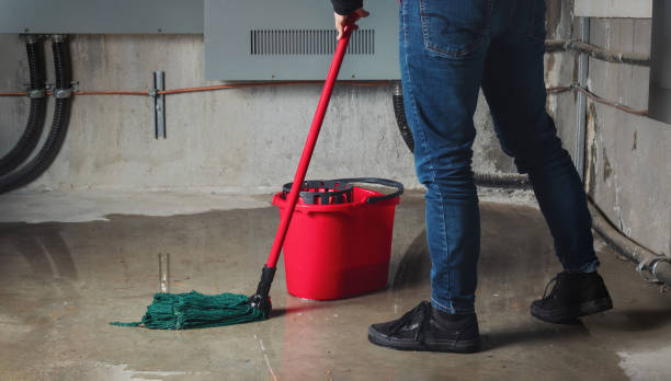 Best Ceiling water damage repair  in Naples, TX