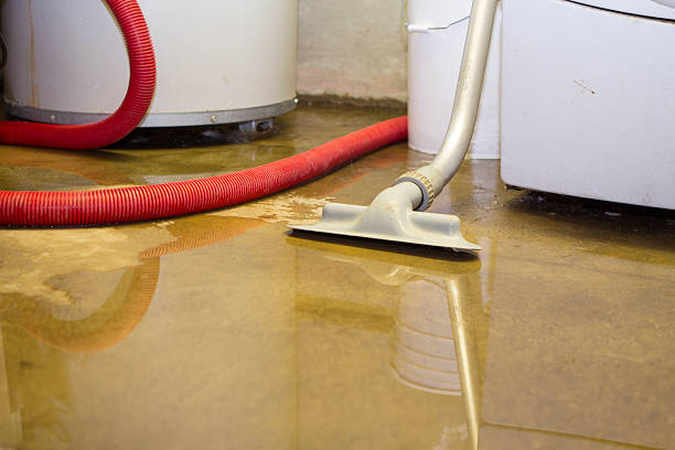 Best Flood damage cleanup  in Naples, TX