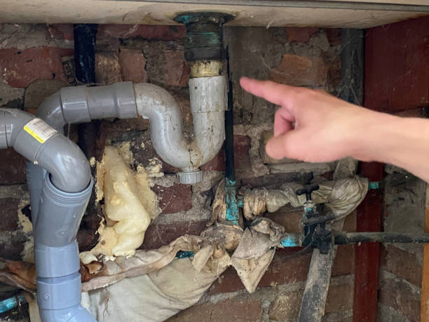 Best Flooded house restoration  in Naples, TX